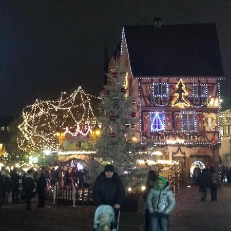 Maison De Vacances Avec Piscine, Proche Strasbourg Et Europa Park Sand Exteriör bild