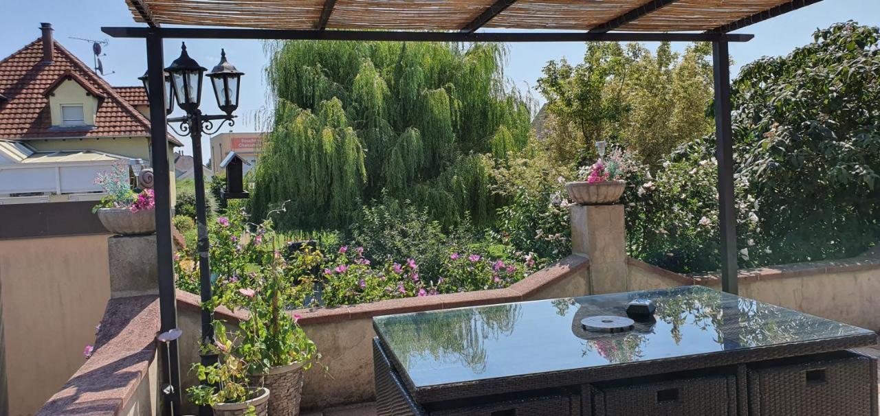 Maison De Vacances Avec Piscine, Proche Strasbourg Et Europa Park Sand Exteriör bild
